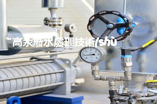 “高汞廢水處理技術(shù)，綠色環(huán)保新篇章”
